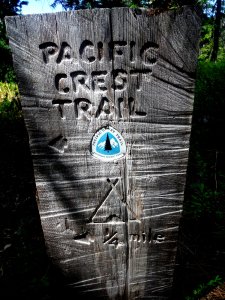 PCT Sign