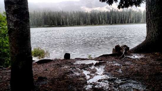 Our rain-soaked campsite on the shore of Leech Lake at White Pass
