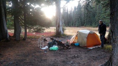 IMG_20150908_185033606