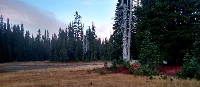 IMG_20150908_193342734_HDR