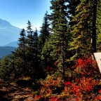 White Pass to Chinook Pass