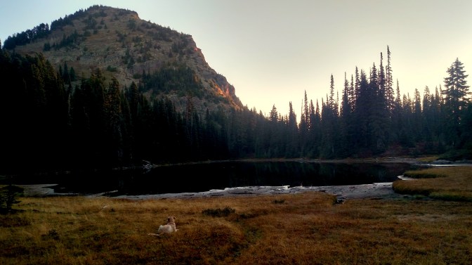 IMG_20150910_065238619_HDR