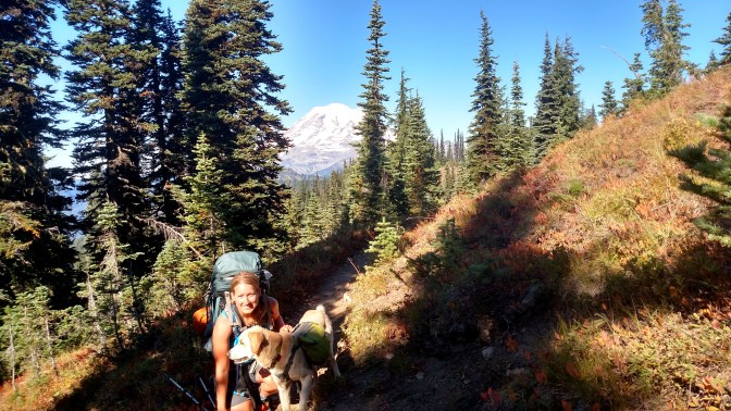 IMG_20150910_101227124_HDR