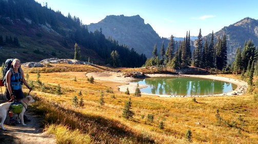 IMG_20150910_165120245_HDR