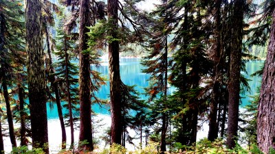 IMG_20150915_140305249