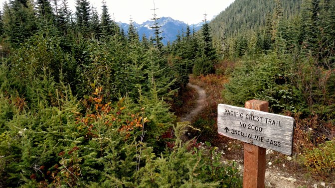 IMG_20150915_154229978