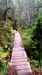 IMG_20150924_170840344