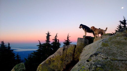 IMG_20150929_065835558