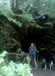 IMG_20150929_175119003