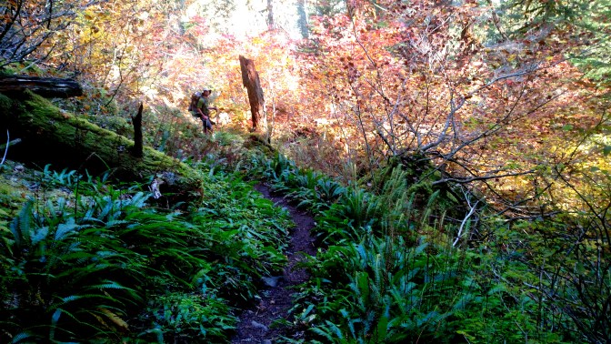 IMG_20151001_111601838