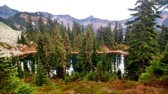 IMG_20151006_150232211_HDR