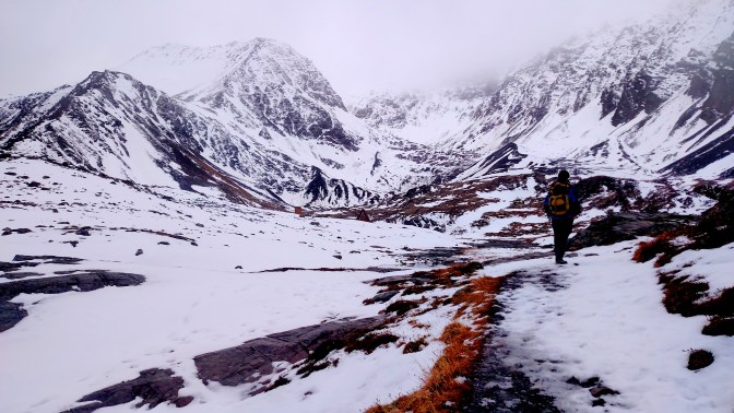 IMG_20151029_132038032