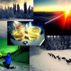 Adventures in Alaska: Sled Dogs, Aurora Chasing, and the Perfect Proposal