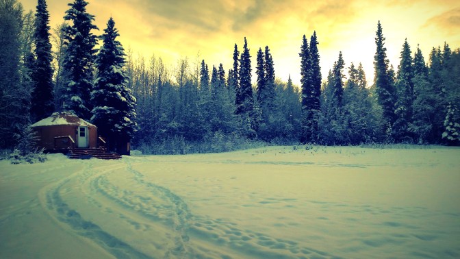 IMG_20151104_111701812_HDR