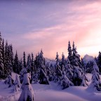 Playing in a Winter Wonderland: Mount Dickerman