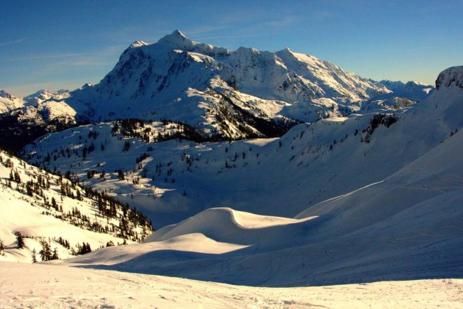 12552579_990183786768_57972215677646978_n