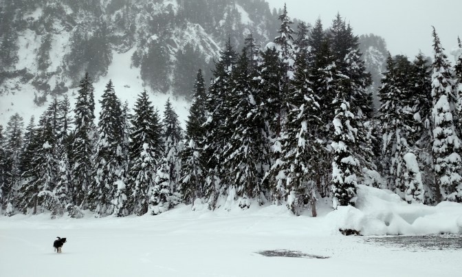 IMG_20160103_135743381_V2