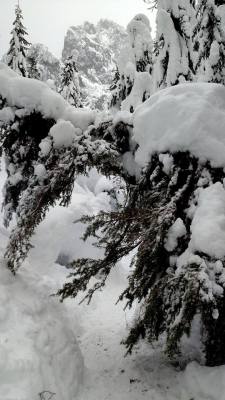 12417939_987521571868_8191799078196292766_n