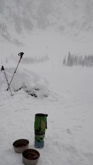 1528526_987520479058_777745711418409218_n