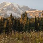 Fall Camping at Mount Rainier (Our First Mother-Daughter Solo Trip)